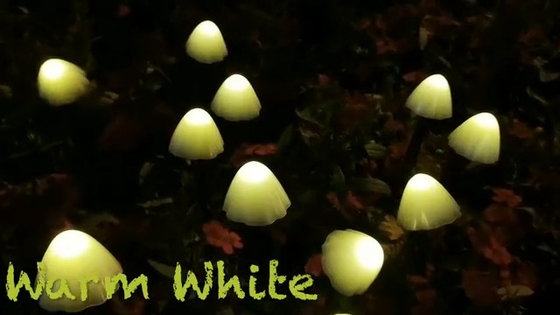 2700K IP55 Solar Powered LED String Lights / Lampu Taman Surya Jamur Dekorasi Meriah Pernikahan