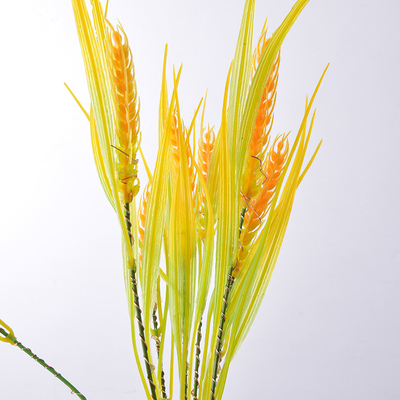 Lampu Taman LED Surya Tahan Air Luar Ruangan 2700K Led Wheat Light Ra 60